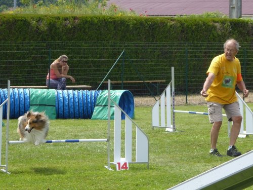 Concours d'agility, Montbard, 24 juin 2018