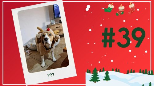 Concours photos 2024 : sur le thème de Noël
