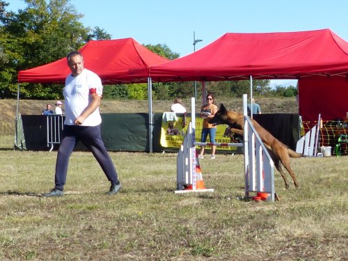 Concours d'agility, Fontaines 11 septembre 2022