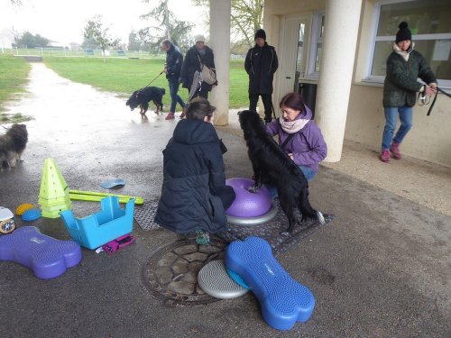 Stage de Fitness canin, 27 janvier 2019