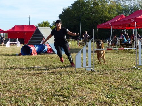 Concours d'agility de Fontaines, le 16 septembre 2018