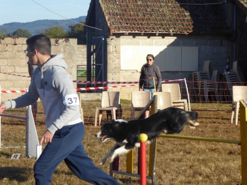 Concours d'agility, Autun, 9 septembre 2018