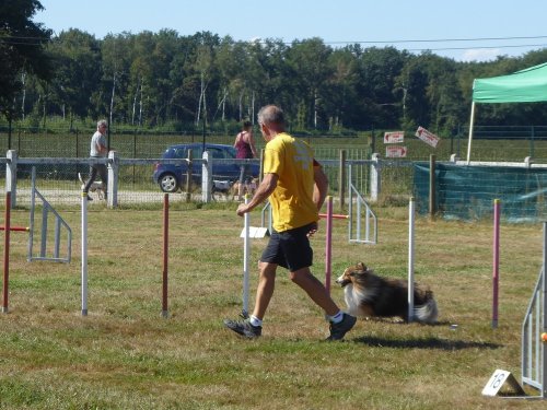 Concours d'agility, Montret, 29 juillet 2018