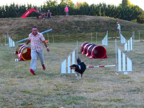 Concours d'agility de Fontaines, le 16 septembre 2018