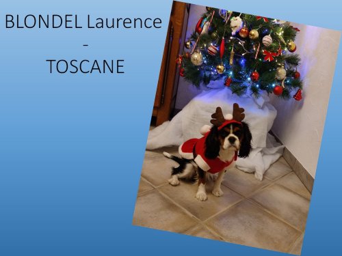 Concours photos 2022 : sur le thème de Noël