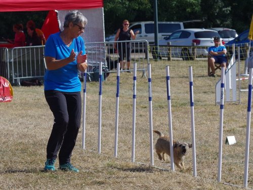 Concours d'agility de Fontaines, le 15 septembre 2019