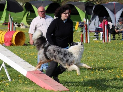 Premier concours d'agility de Fontaines, le 12 avril 2015