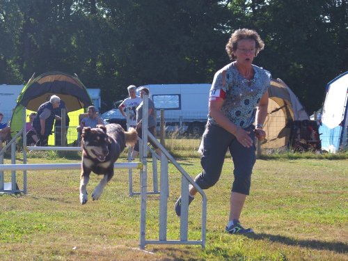 Concours d'agility, Montret, 29 juillet 2018