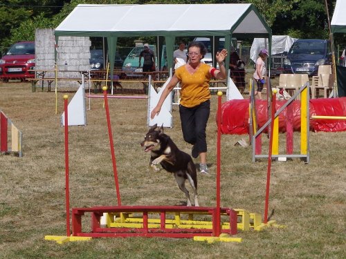 Concours d'agility, Autun, 9 septembre 2018