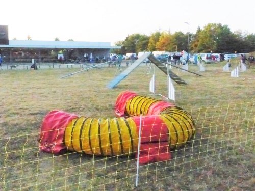 Concours d'agility de Fontaines, le 15 septembre 2019