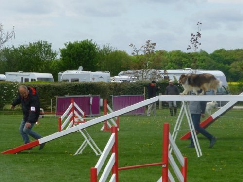 Concours d'agility, Barges, 16 avril 2017