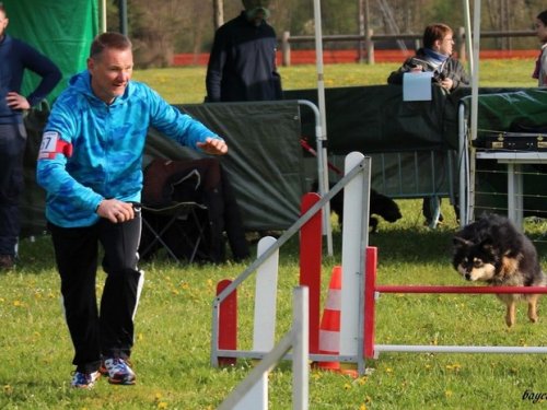 Premier concours d'agility de Fontaines, le 12 avril 2015