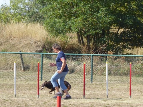 Concours d'agility, Dijon, 22 septembre 2019