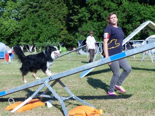 Concours d'agility de Fontaines, le 28 mai 2017