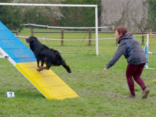 Concours d'agility, Barges, 31 mars 2024