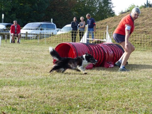 Concours d'agility de Fontaines, le 16 septembre 2018