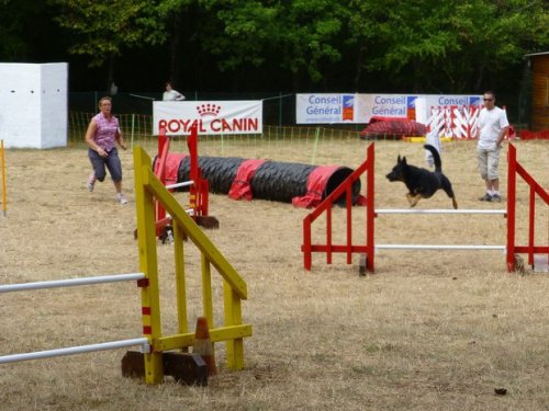 Concours d'agility, Nuits Saint Georges, 26 juillet 2015