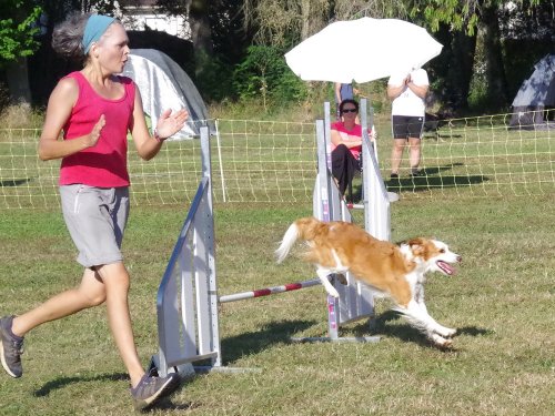 Concours d'agility, Fontaines 9 et 10 septembre 2023