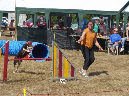 Concours d'agility, Autun, 9 septembre 2018