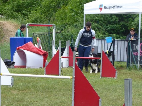 Concours d'agility, Messigny Vantoux, 12 et 13 mai 2018