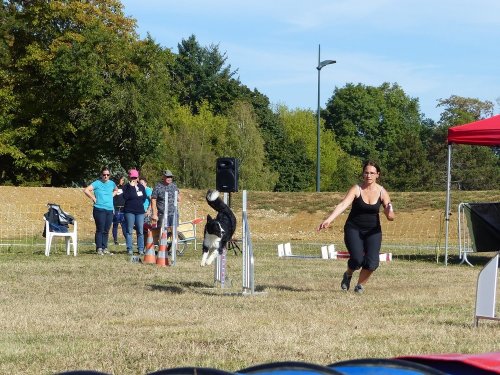 Concours d'agility de Fontaines, le 16 septembre 2018