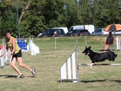 Les concurrents du samedi