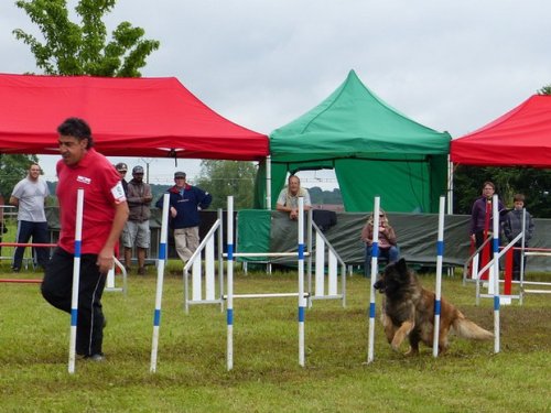 Concours d'agility de Fontaines, le 29 mai 2016