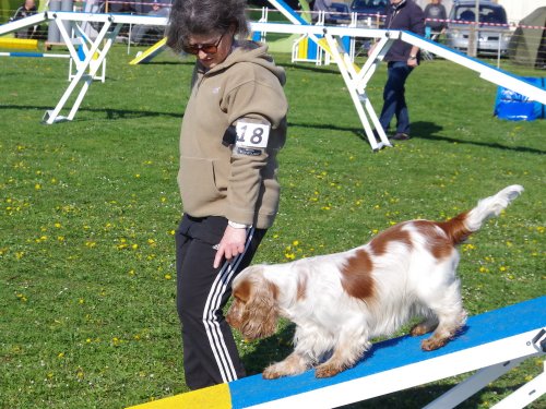 Concours d'agility, Barges, 9 avril 2023