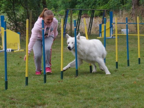 CAESC et Pass-agility Fontaines 17 septembre 2016