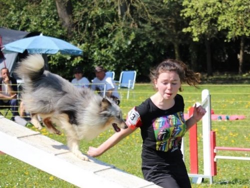 Premier concours d'agility de Fontaines, le 12 avril 2015