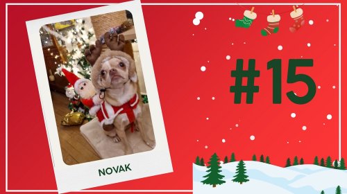 Concours photos 2024 : sur le thème de Noël