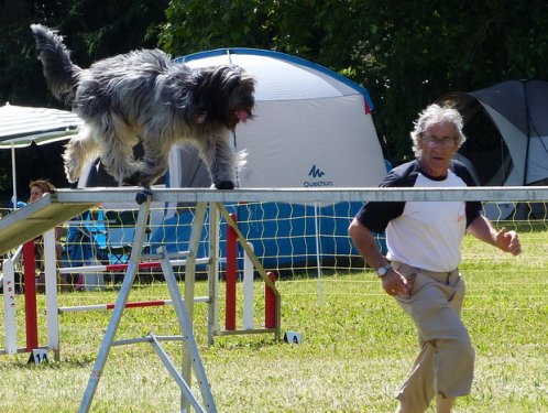 Concours d'agility de Fontaines, le 28 mai 2017