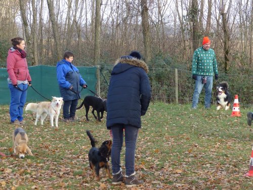 Education canine, 17 décembre 2022