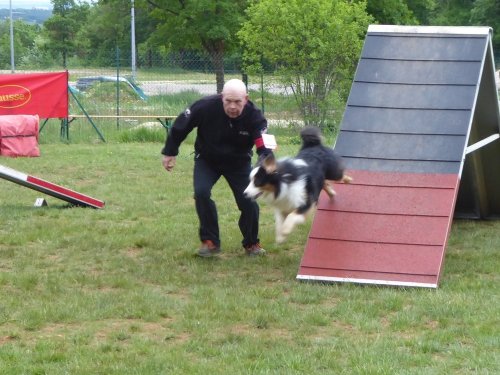 Concours d'agility, Messigny Vantoux, 12 et 13 mai 2018