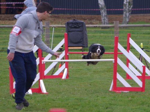 Concours d'agility, Barges, 1 avril 2018