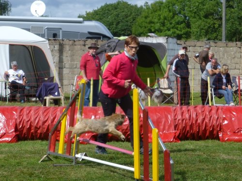 Concours d'agility, Autun, 10 septembre 2017