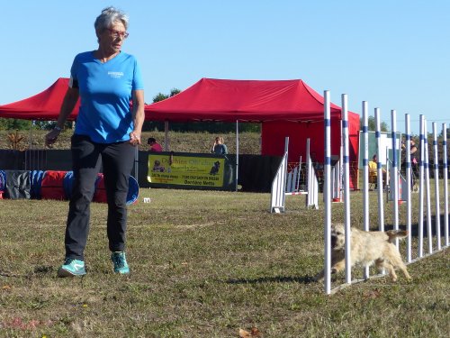 Concours d'agility, Fontaines 11 septembre 2022