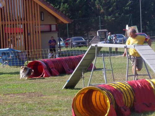 Concours d'agility, Fontaines, 9 et 10 septembre 2023