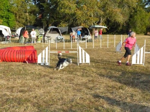 Concours d'agility de Fontaines, le 15 septembre 2019