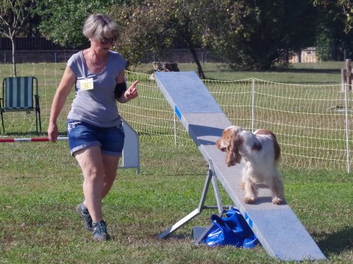 Concours d'agility, Fontaines, 9 et 10 septembre 2023