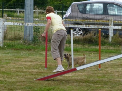 Concours d'agility, Montret, 30 juillet 2017