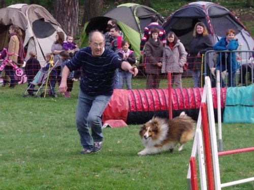 Concours d'agility, Le Creusot, 19 mars 2017