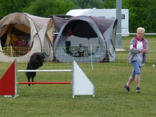 Concours d'agility, Magny sur Tille, 2 juillet 2017