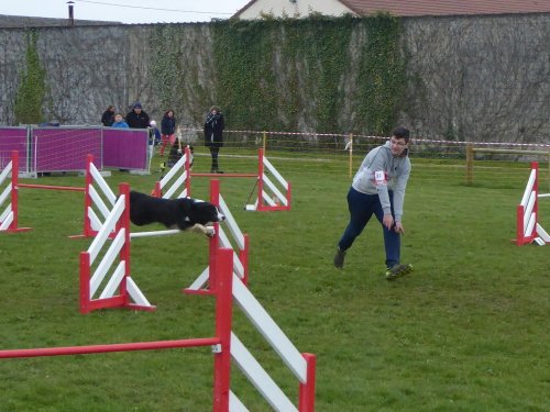 Concours d'agility, Barges, 1 avril 2018