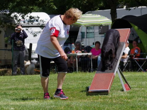 Concours d'agility, Sanvignes les Mines, 6 août 2016