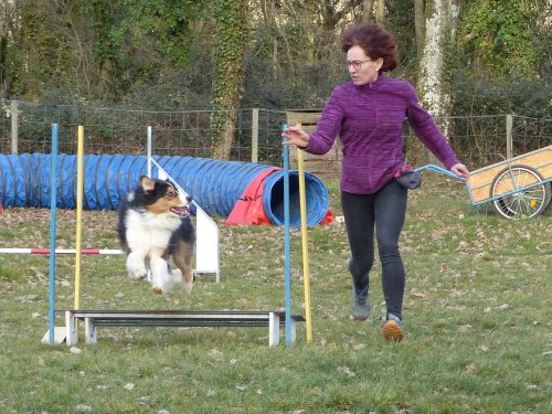 Agility loisir, 18 février 2023