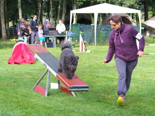 Concours d'agility, Sanvignes les Mines, 6 août 2016