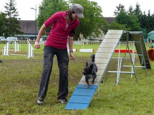 Concours d'agility de Fontaines, le 29 mai 2016