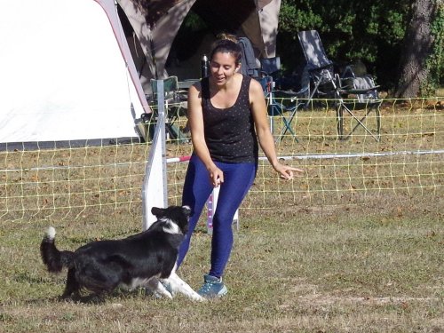 Concours d'agility, Fontaines 11 septembre 2022