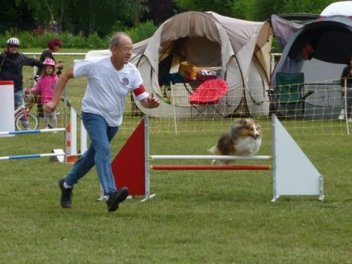 Concours d'agility, Magny sur Tille, 2 juillet 2017